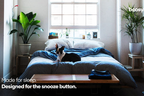 Bcosy Mattress-in-a-Box - Hybrid Mattress with Biofoam & Bounce Foam - Made for sleep, designed for Sundays - lazy dog
